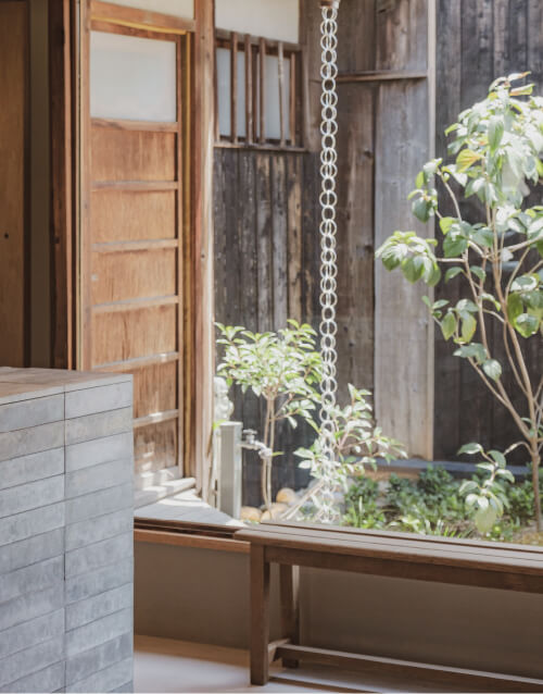 店内から見える草木